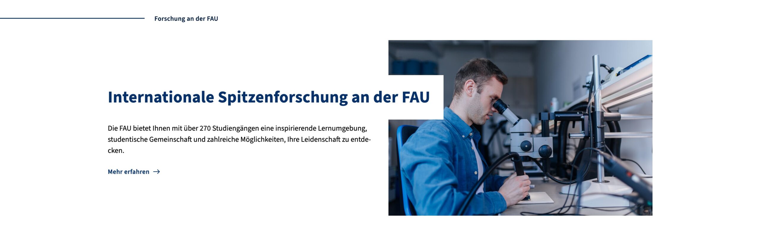 Beispielansicht der Big Teaser Vorlage