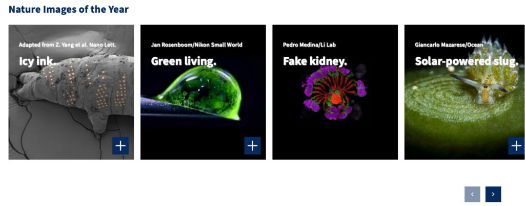 Beispielansicht eines Karussells im Marketing-Modus