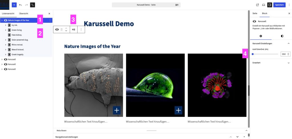 Ansicht des Block-Editors mit ausgewähltem Karussell-Block