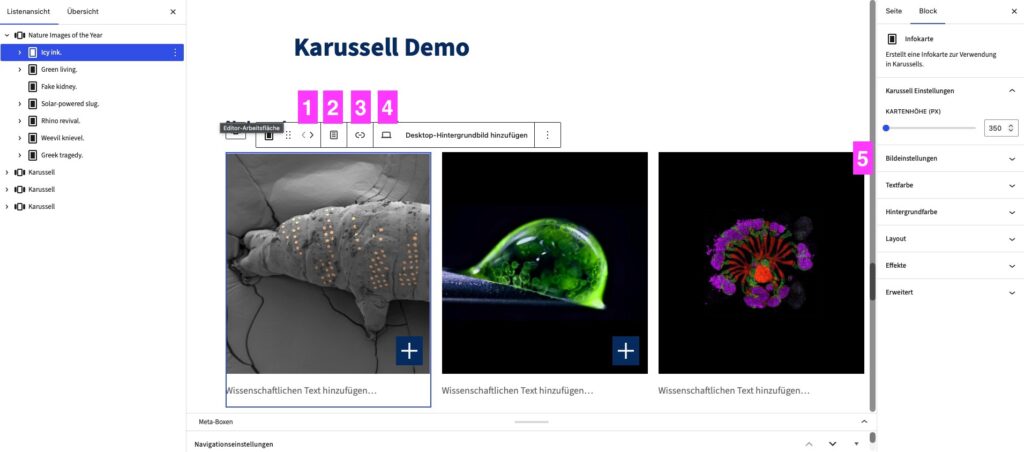 Ansicht des Block-Editors mit ausgewählter Karussel-Kachel