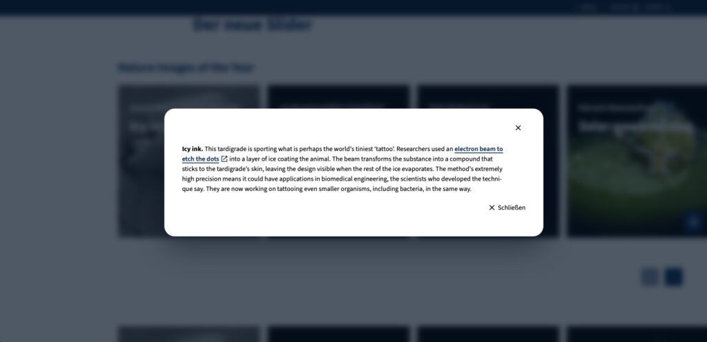 Beispielansicht eines Popovers im Frontend