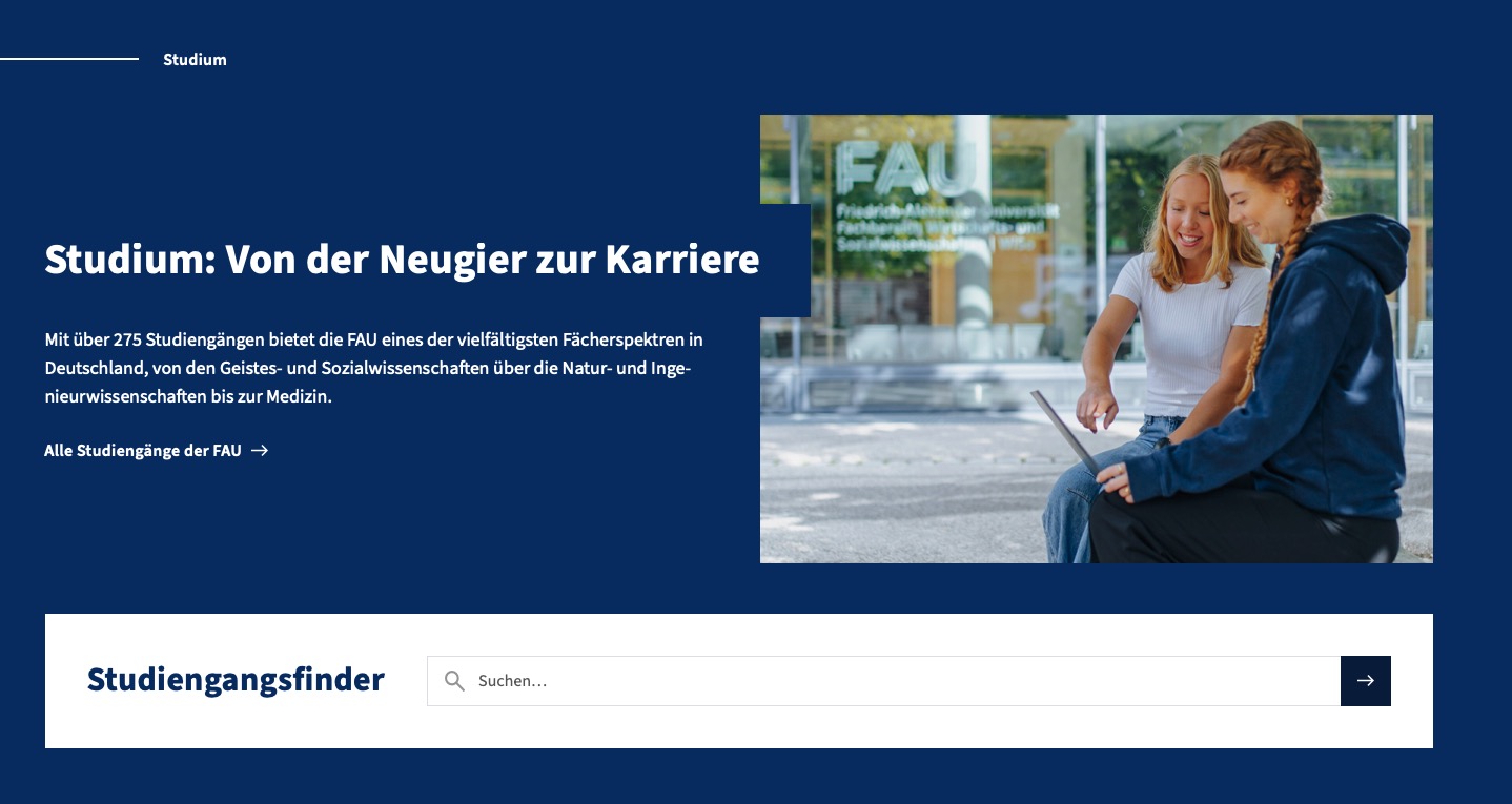 Ansicht des FAU Big Theaters mit der Global Search am Beispiel der FAU.de