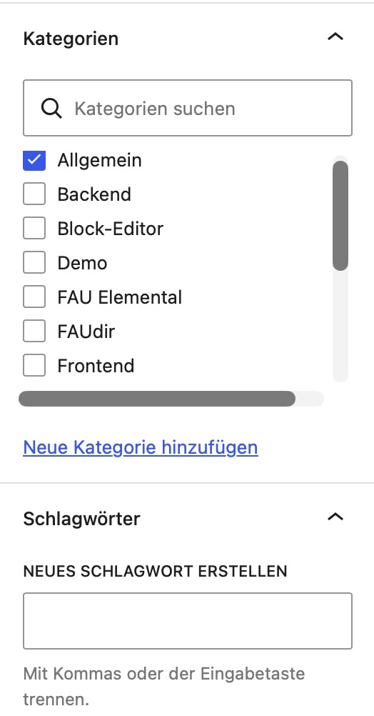 Kategorien und Schlagwörter im Block-Editor